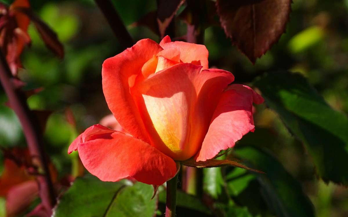 ��������� �����. ����� �������� �������� �� PhotoGeek.ru #����� #�����