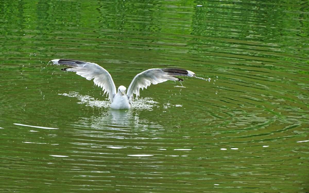 ����� ����������� ����� �� ��������� ������. ����� �������� �������� �� PhotoGeek.ru #����� #�������� ���