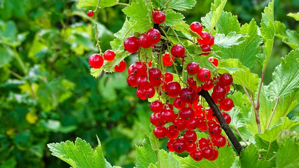 ������ ������� ���������. ����� �������� �������� �� PhotoGeek.ru #��� #����� #�����