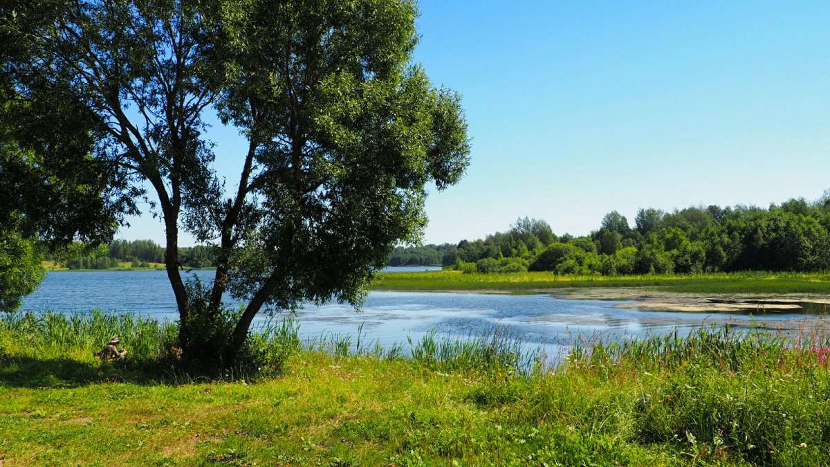 ���� ����������. ����� �������� �������� �� PhotoGeek.ru #������ ��� �������