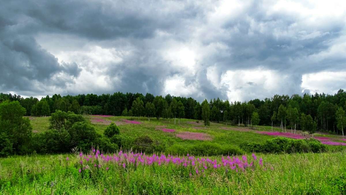 �������� ����. ����� �������� �������� �� PhotoGeek.ru #������ ��� �������