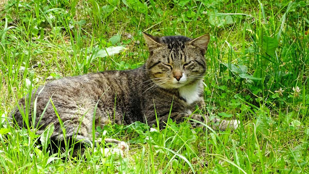 ������ ���� � ������� �����. ����� �������� �������� �� PhotoGeek.ru #�������� ���