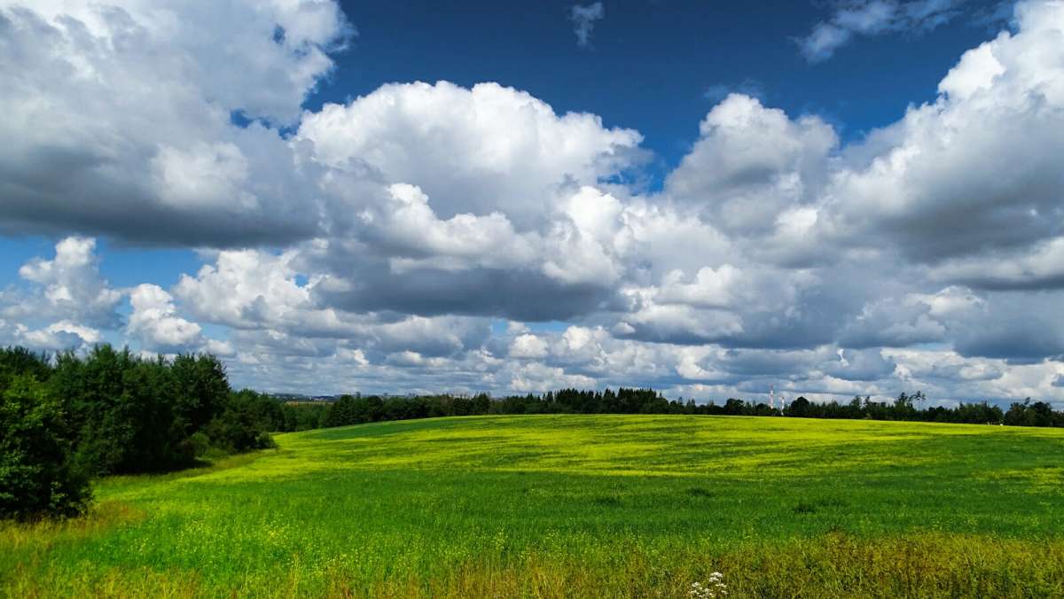 ����� ������ ����. ����� �������� �������� �� PhotoGeek.ru #������ ��� �������