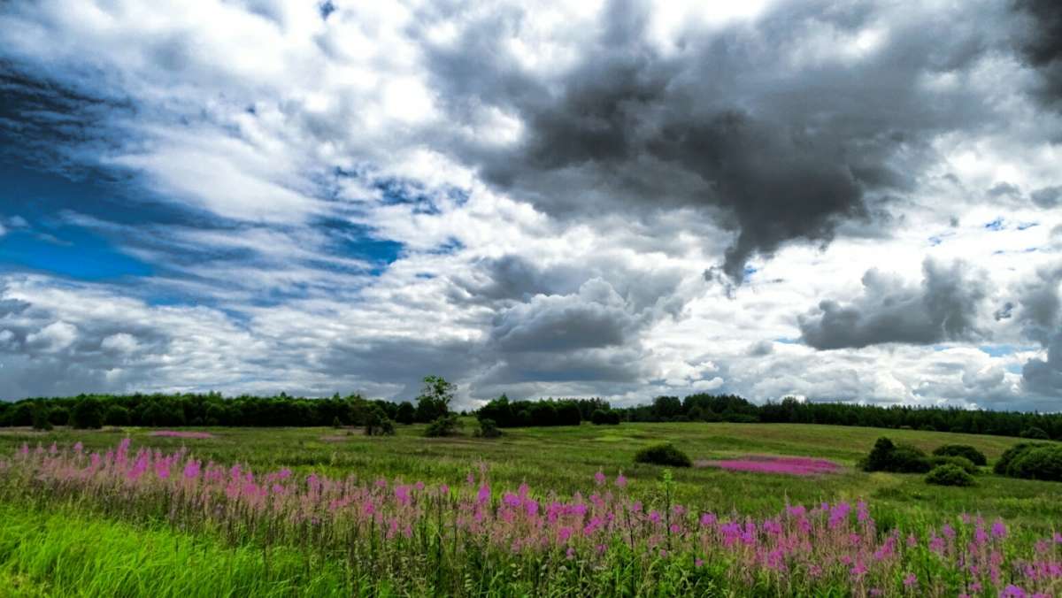 �� ��������� ����� �� �����. ����� �������� �������� �� PhotoGeek.ru #������ ��� �������