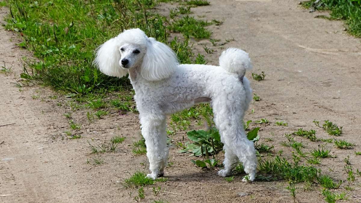 ��������� ������ � �������. ����� �������� �������� �� PhotoGeek.ru #�������� ���