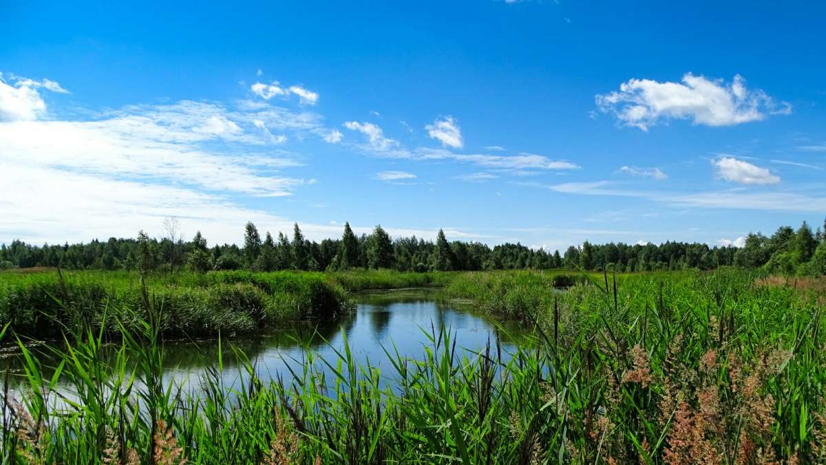 ������ ������� ����������. ����� �������� �������� �� PhotoGeek.ru #������ ��� �������