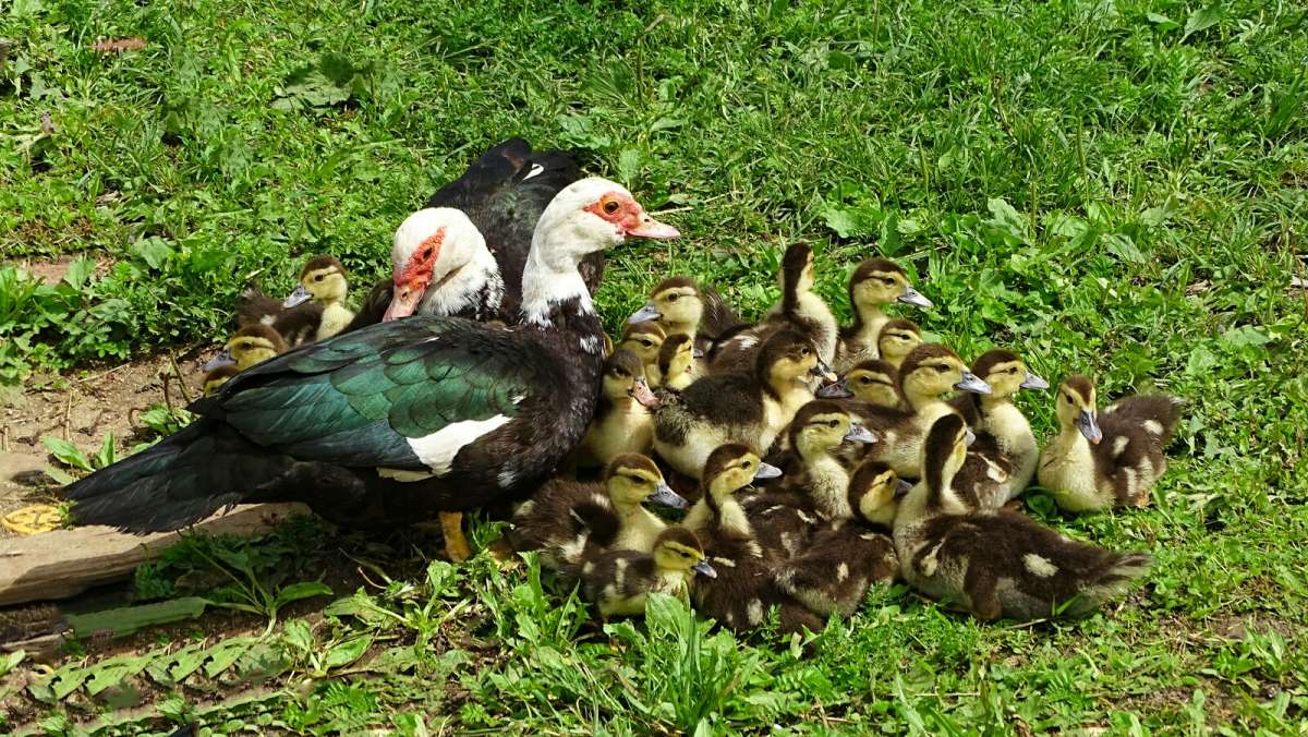 ������ ���������. ����� �������� �������� �� PhotoGeek.ru #�������� ���