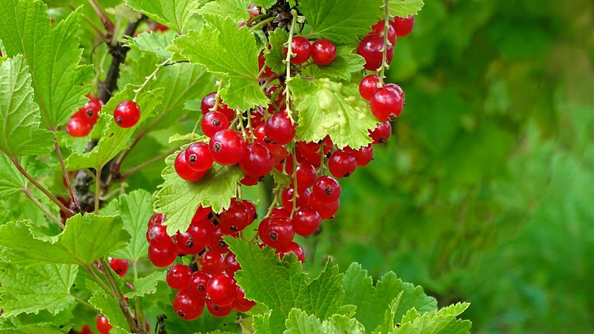 ������� ���������. ����� �������� �������� �� PhotoGeek.ru #��� #����� #�����