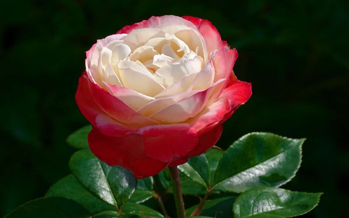 ��������� ����. ����� �������� �������� �� PhotoGeek.ru #����� #�����