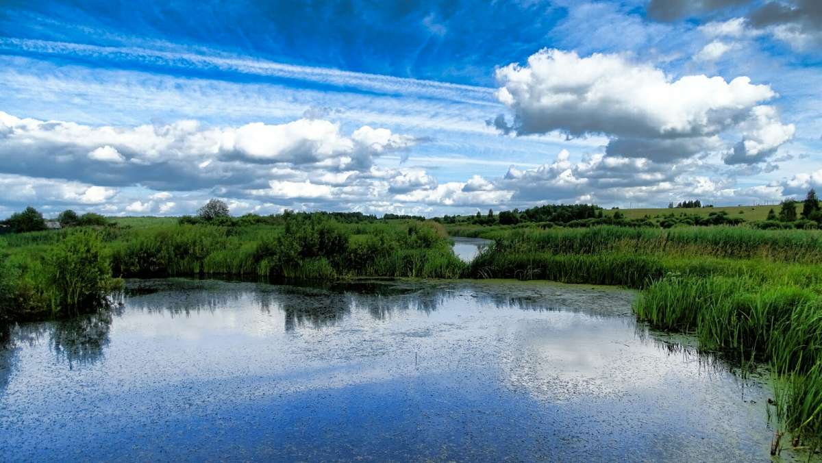 ���������� ����. ����� �������� �������� �� PhotoGeek.ru #������ ��� �������