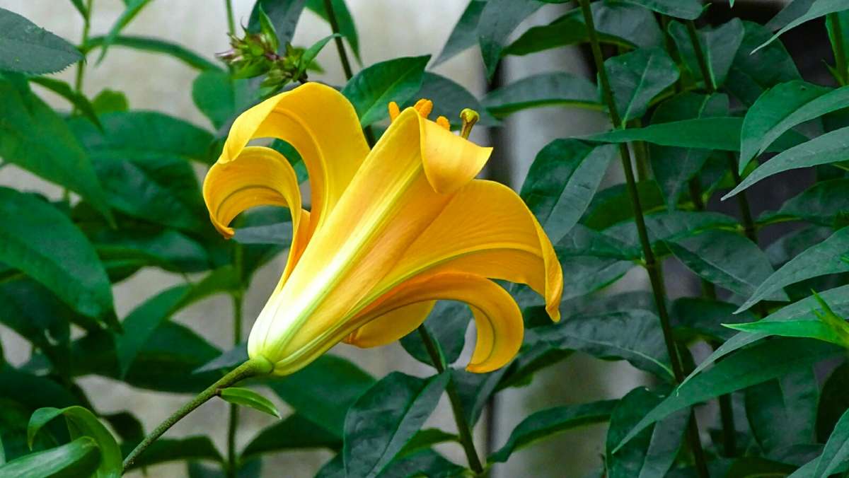 ��������� �����. ����� �������� �������� �� PhotoGeek.ru #����� #�����