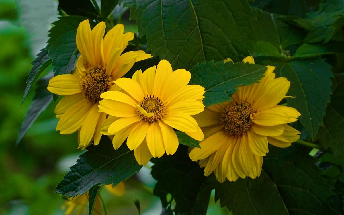 ����� �� ��������� �������. ����� �������� �������� �� PhotoGeek.ru #����� #�����