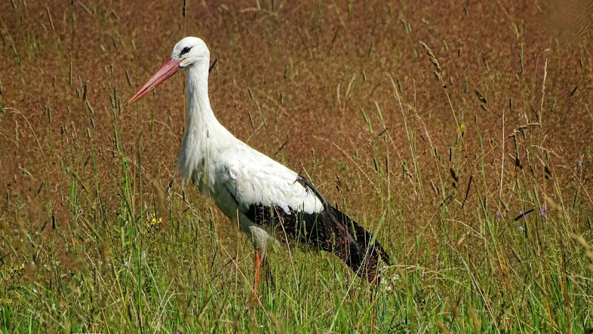 ���� - ����� ����������. ����� �������� �������� �� PhotoGeek.ru #�������� ���