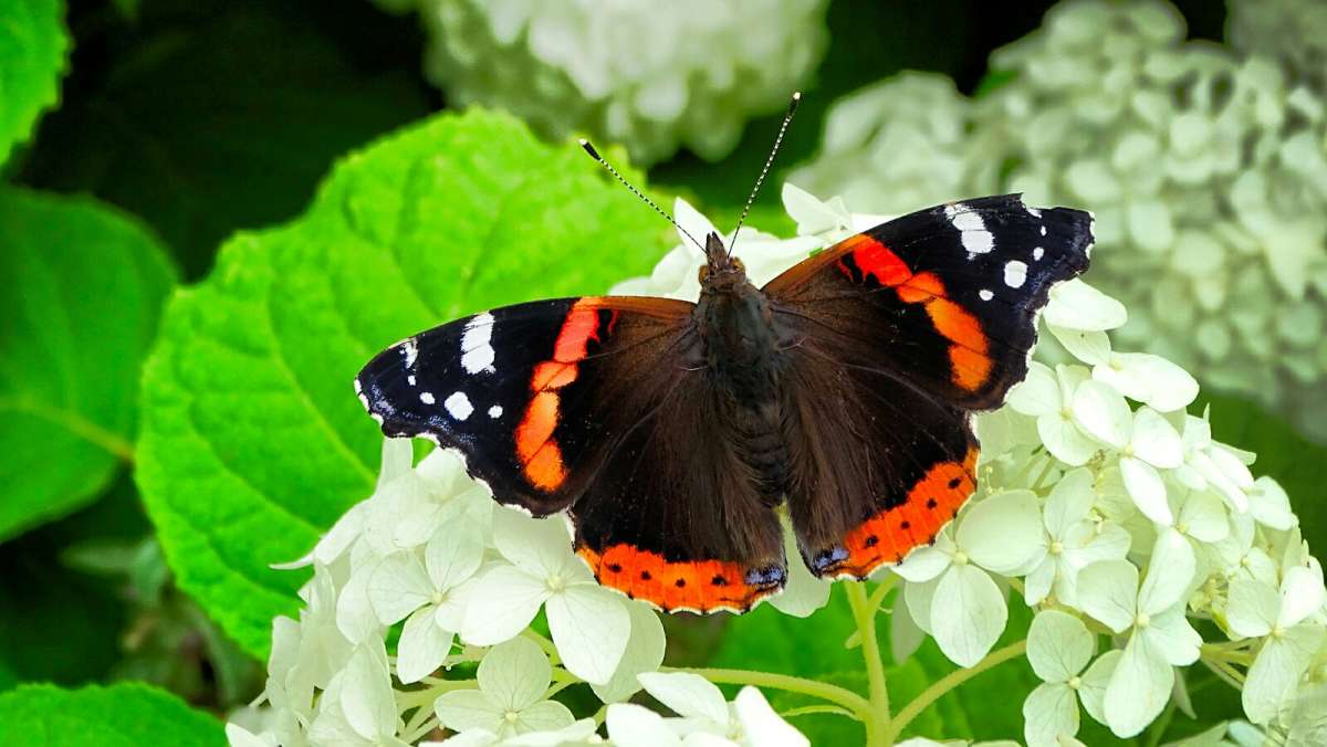 ������� - �������. ����� �������� �������� �� PhotoGeek.ru #����� #�������� ���