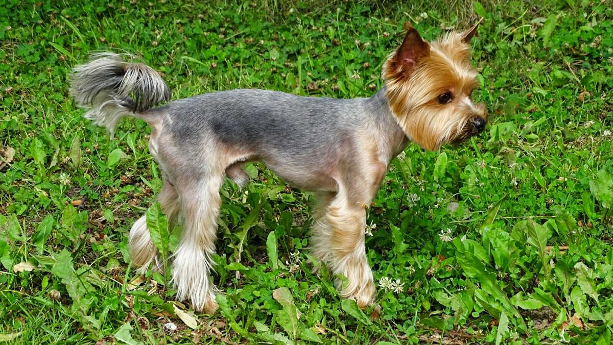 ������ �����. ����� �������� �������� �� PhotoGeek.ru #����� #�������� ���