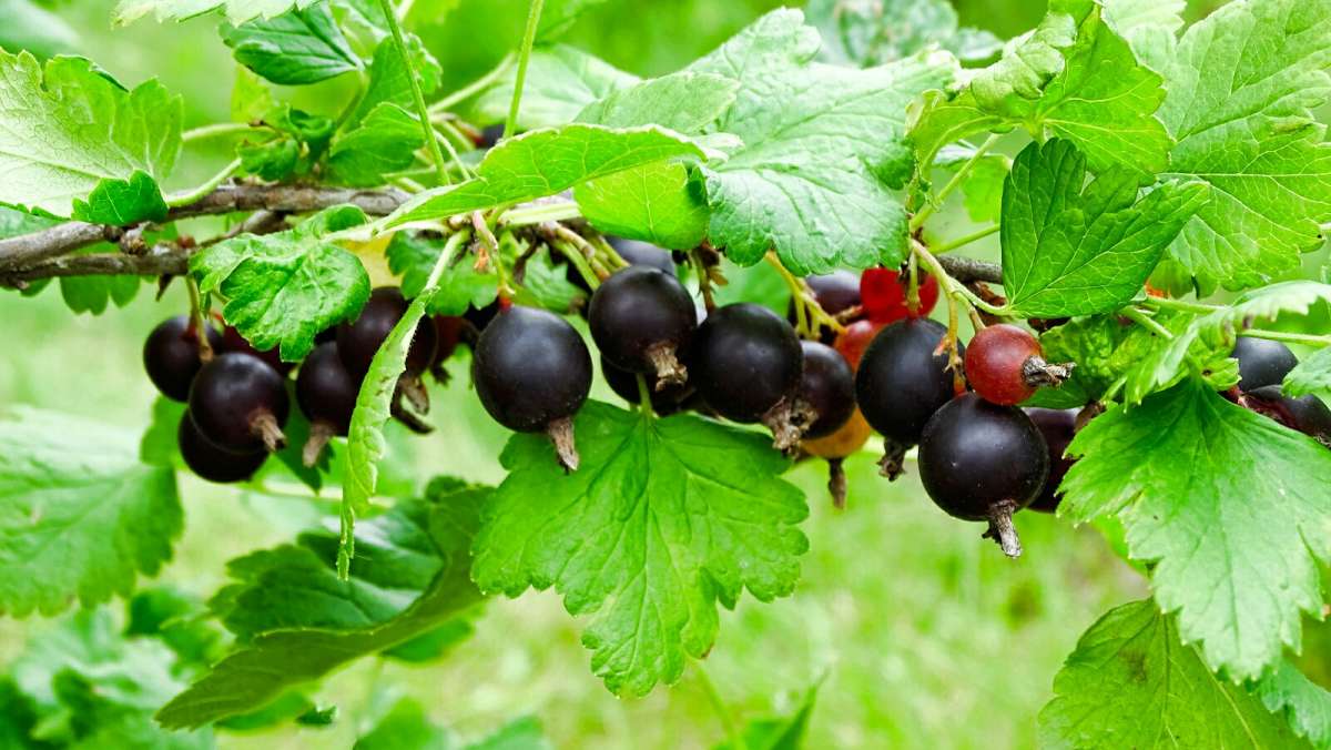 ׸���� ���������. ����� �������� �������� �� PhotoGeek.ru #��� #����� #�����