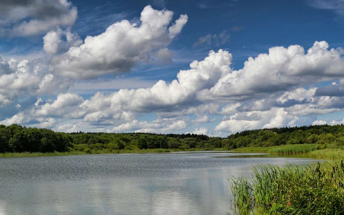 ���� ����. ����� �������� �������� �� PhotoGeek.ru #������ ��� �������