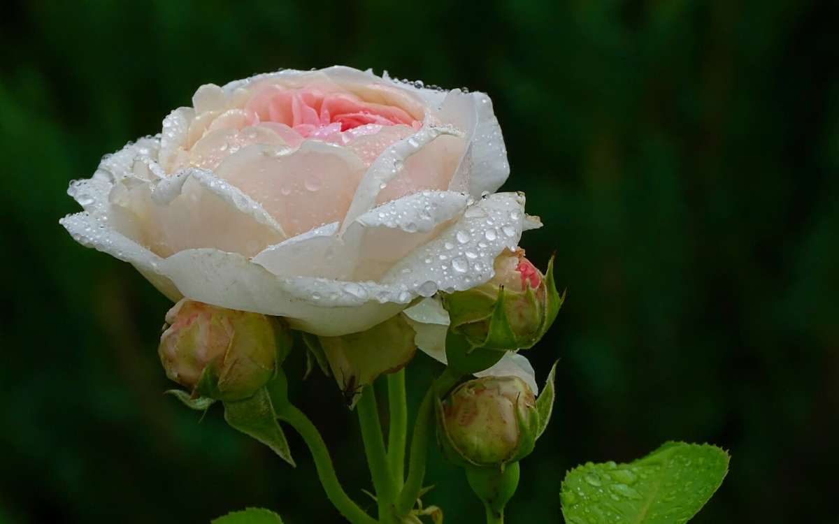   .     PhotoGeek.ru # #