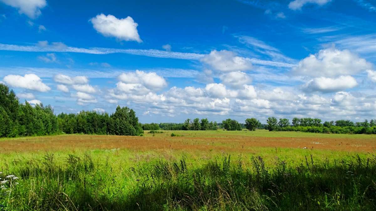 ���� - ���� ����� �������� �������� �� PhotoGeek.ru #������ ��� �������