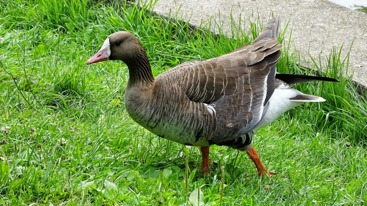 ���� ���������� ����. ����� �������� �������� �� PhotoGeek.ru #����� #�������� ���