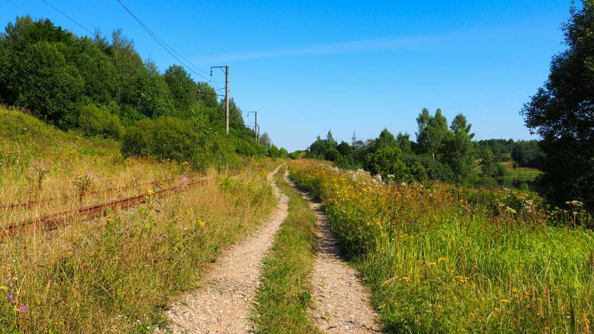 ������ ����� ������ �� �����. ����� �������� �������� �� PhotoGeek.ru #��������� #������ ��� �������