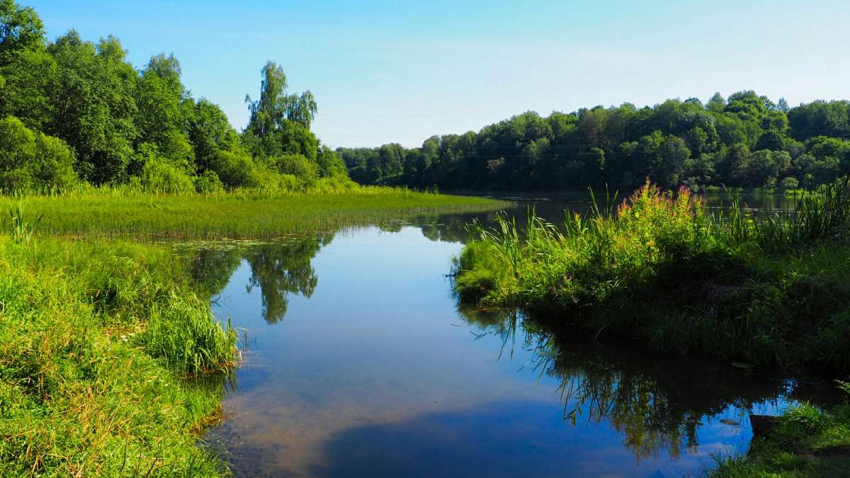 ����� �� ������ �����. ����� �������� �������� �� PhotoGeek.ru #������ ��� �������