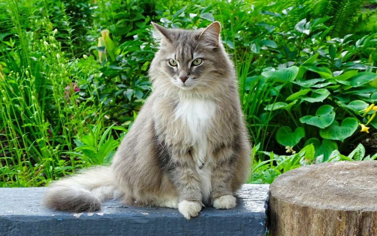 ��������� ������ � ������. ����� �������� �������� �� PhotoGeek.ru #����� #�������� ���