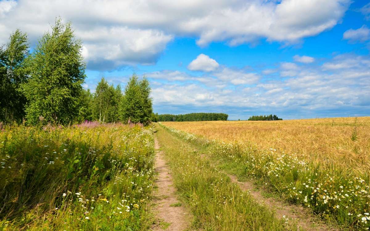 ���� ����� �������� �������� �� PhotoGeek.ru #������ ��� �������