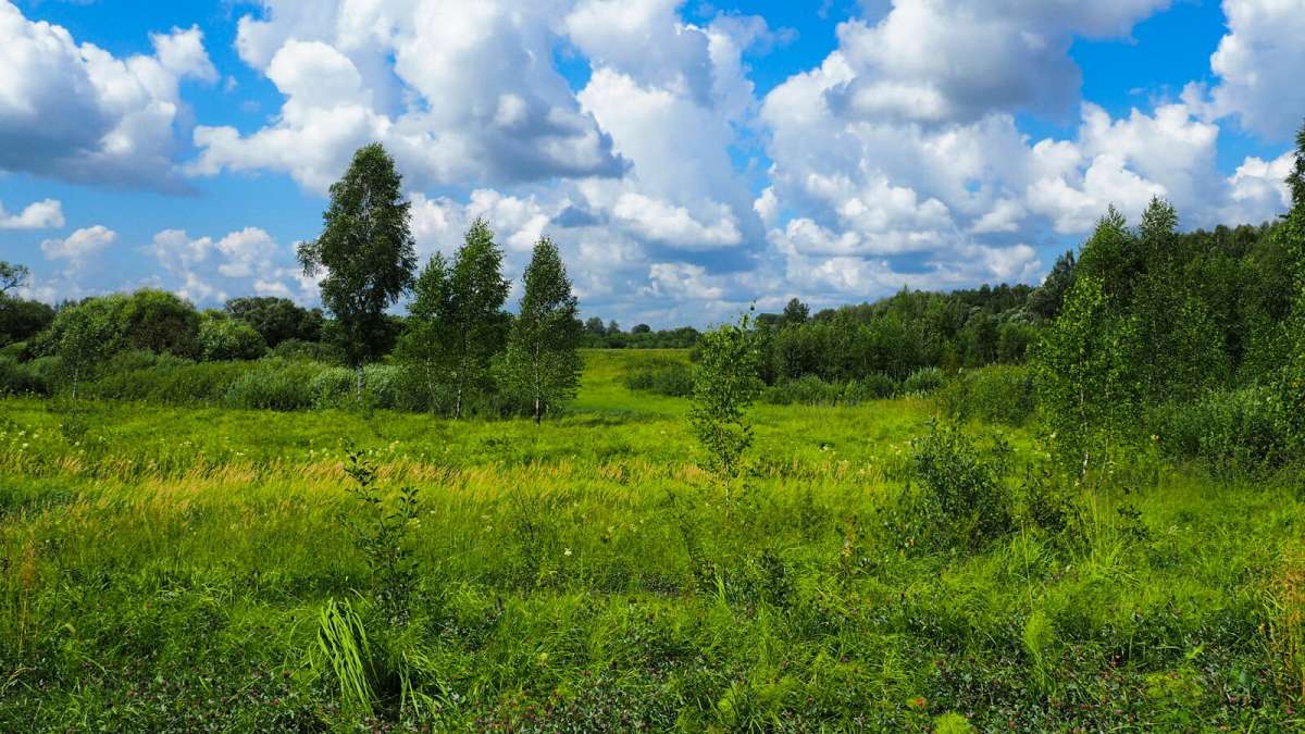 �������� ���. ����� �������� �������� �� PhotoGeek.ru #������ ��� �������