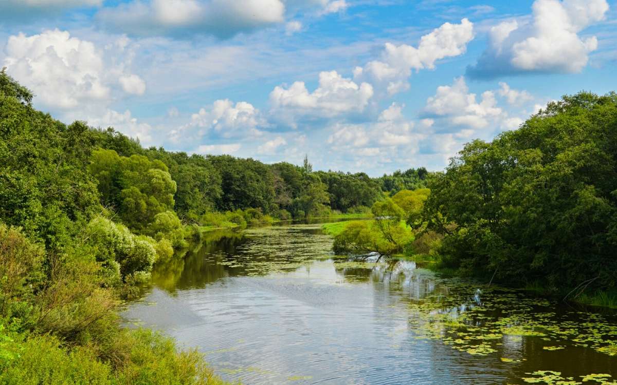 ���������� ����. ����� �������� �������� �� PhotoGeek.ru #������ ��� �������