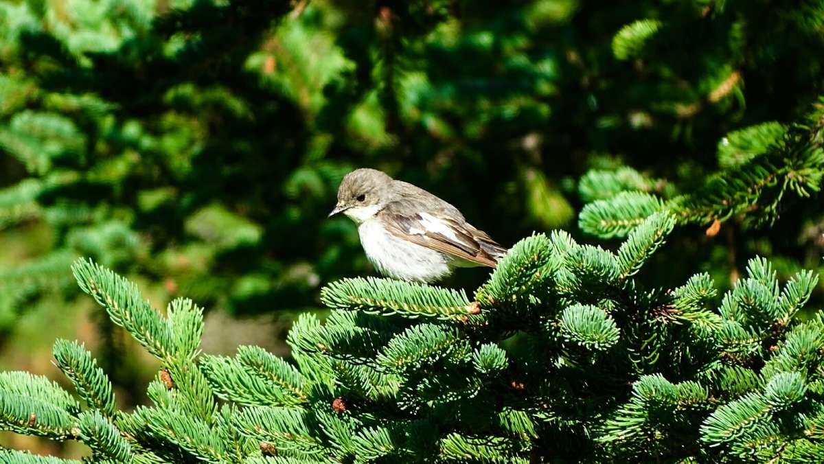 � �������. ����� �������� �������� �� PhotoGeek.ru #����� #�������� ���