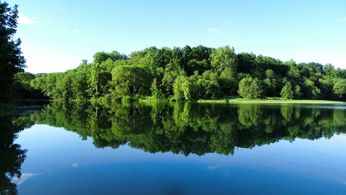 ���������� ���������. ����� �������� �������� �� PhotoGeek.ru #������ ��� �������