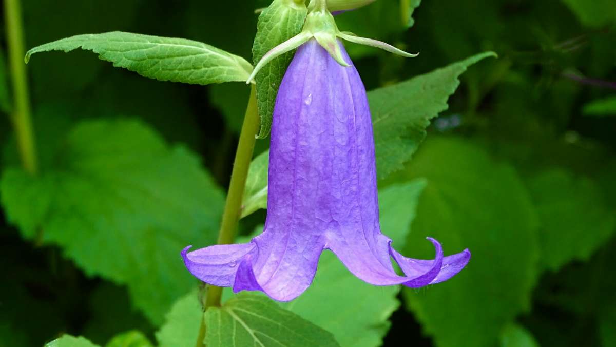 ������� �����. ����� �������� �������� �� PhotoGeek.ru #����� #������ ��� �������