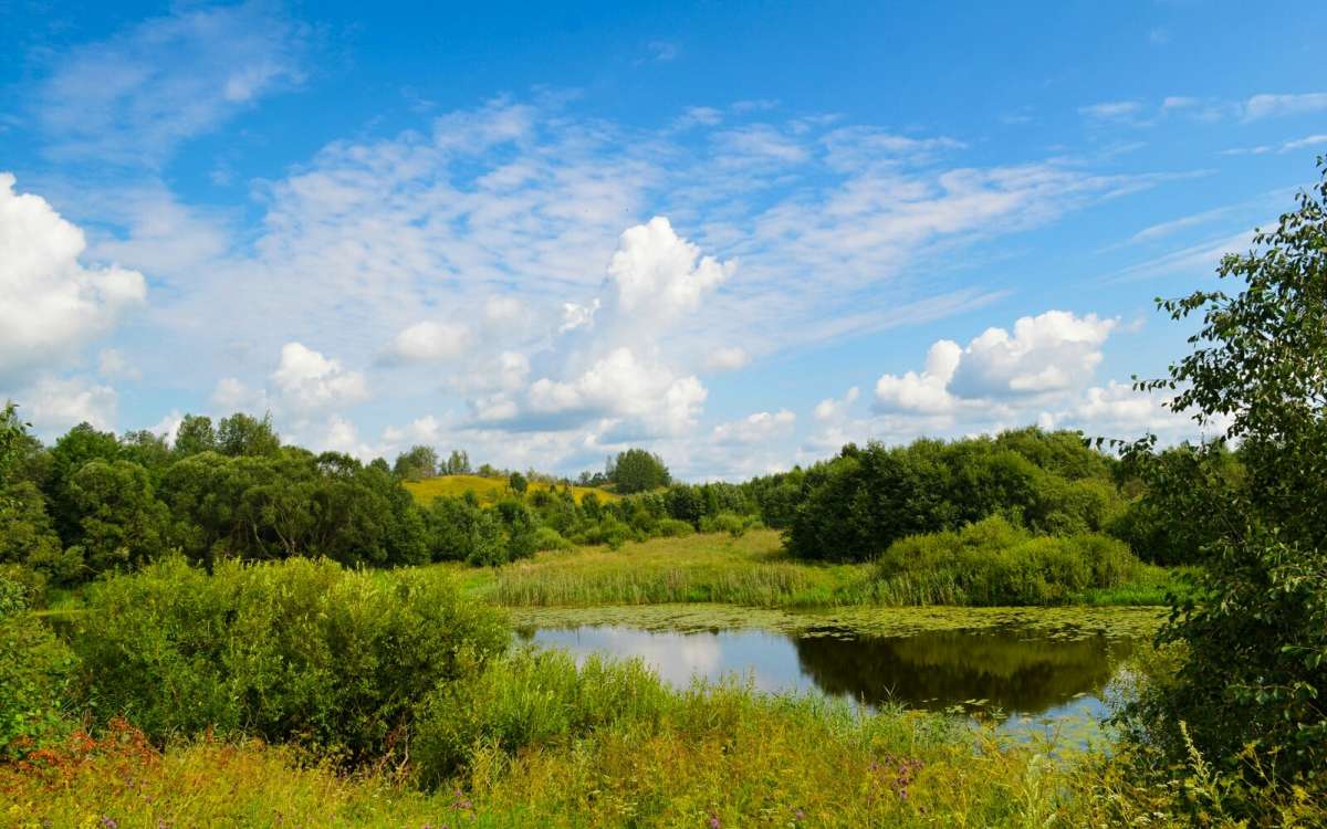 ���������� ��������. ����� �������� �������� �� PhotoGeek.ru #������ ��� �������