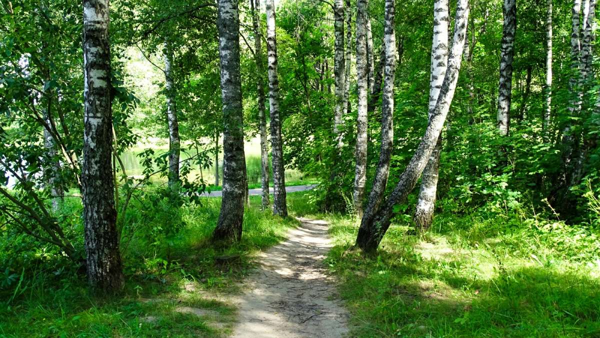 ����� ��������� ����. ����� �������� �������� �� PhotoGeek.ru #����� #������ ��� �������