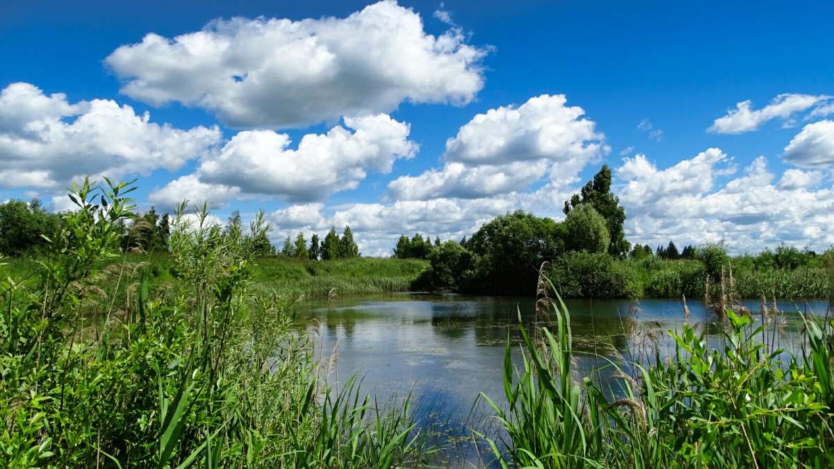 ���� ����. ����� �������� �������� �� PhotoGeek.ru #������ ��� �������