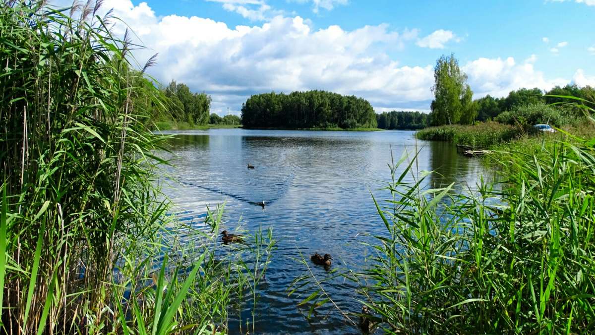 � ��������� ���� ����. ����� �������� �������� �� PhotoGeek.ru #������ ��� �������