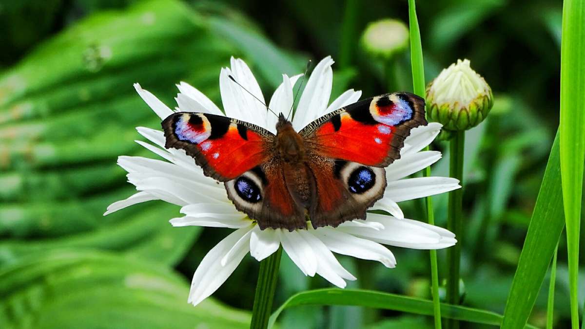 �� ����� �������. ����� �������� �������� �� PhotoGeek.ru #����� #����� #������ ��� �������