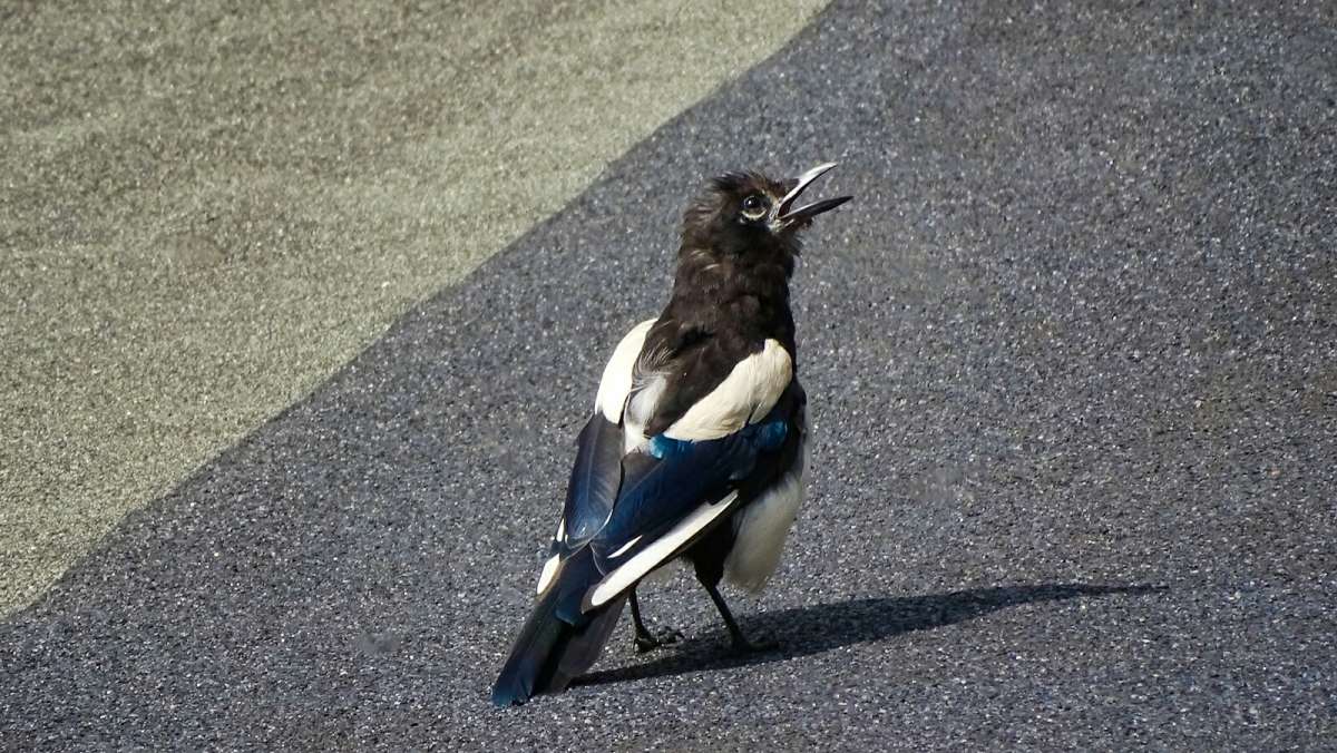 ����� ������ ���� ����. ����� �������� �������� �� PhotoGeek.ru #����� #�������� ���