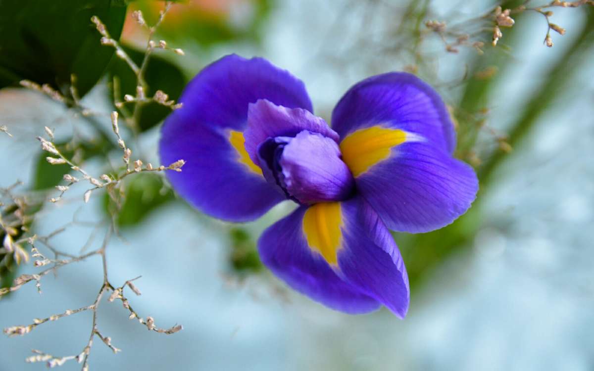 ����� ����. ����� �������� �������� �� PhotoGeek.ru #����� #�����