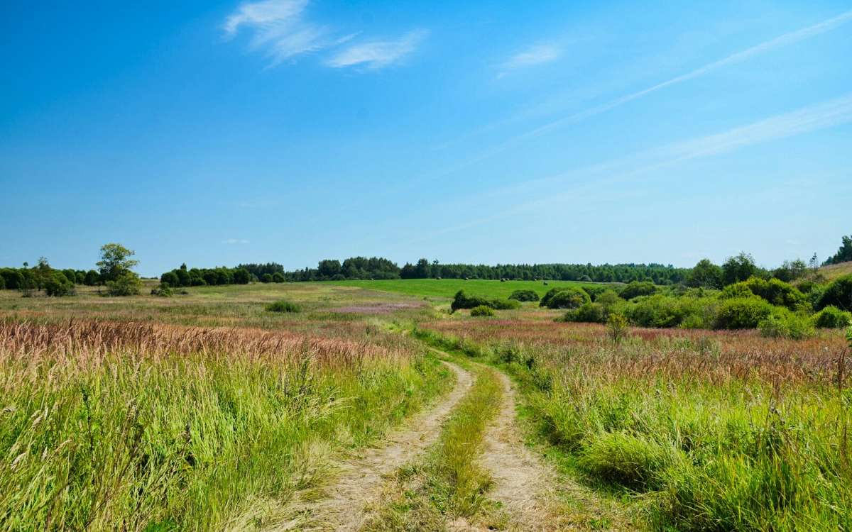 ������� ������ � �������. ����� �������� �������� �� PhotoGeek.ru #������ ��� �������