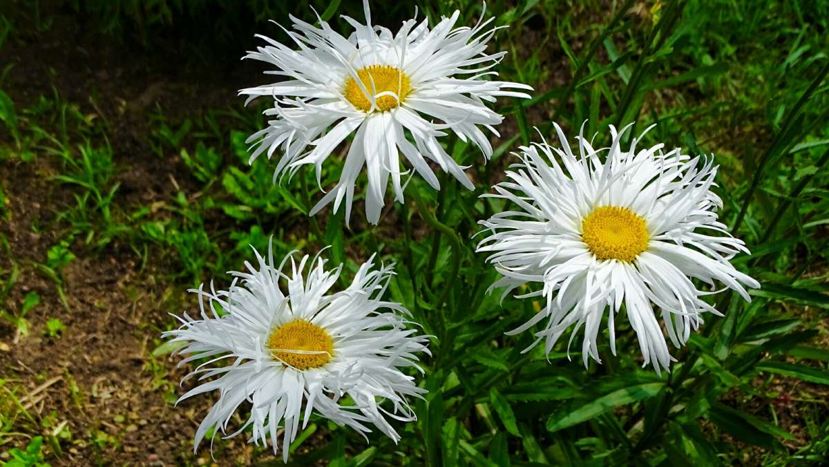 ��������� �����. ����� �������� �������� �� PhotoGeek.ru #����� #�����