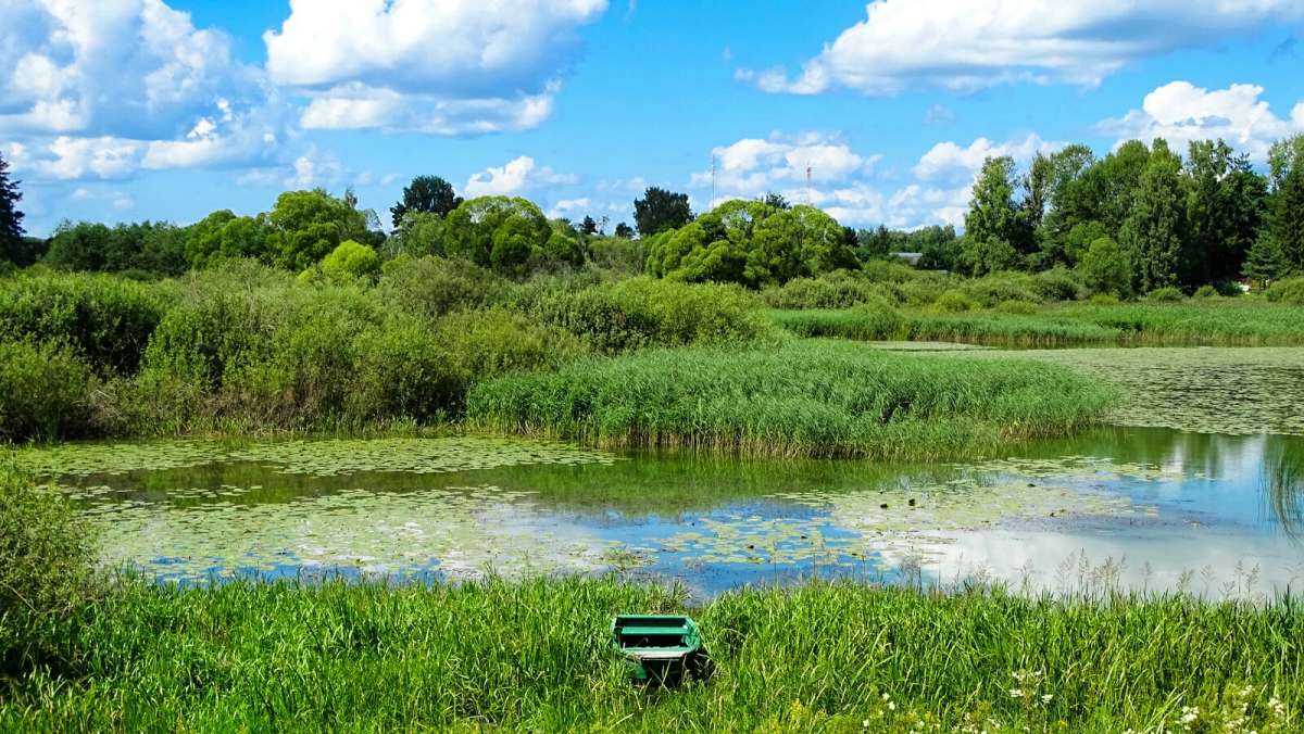 ���� ����. ����� �������� �������� �� PhotoGeek.ru #������ ��� �������