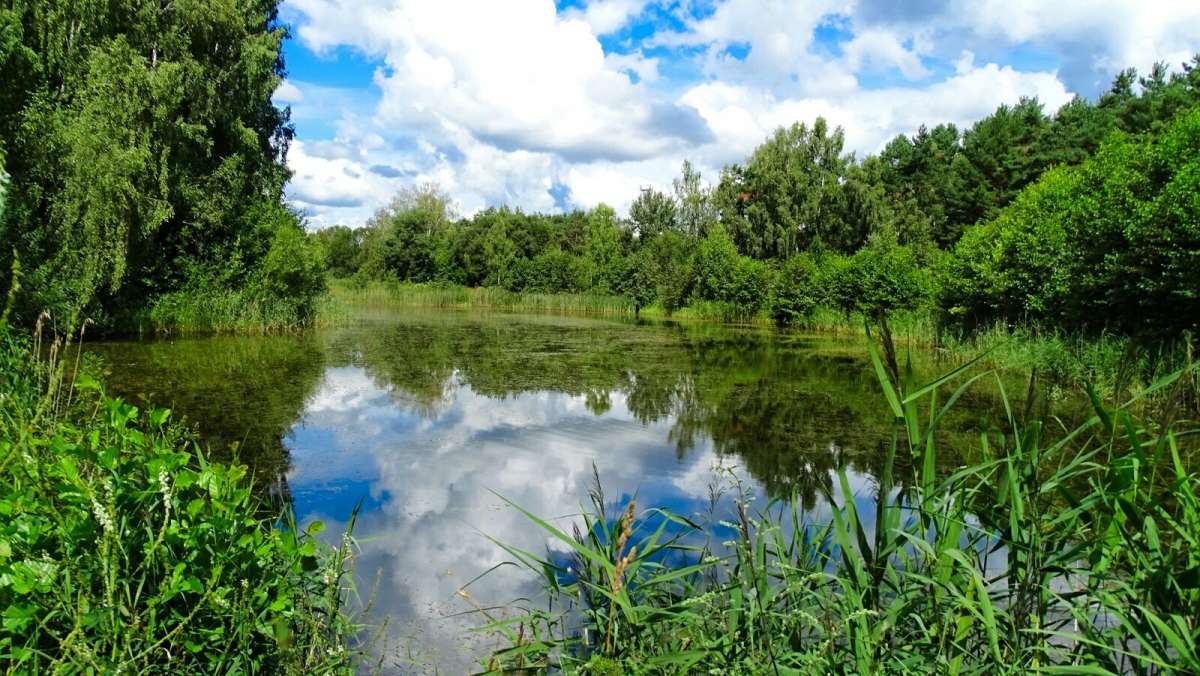 ������ ������. ����� �������� �������� �� PhotoGeek.ru #������ ��� �������