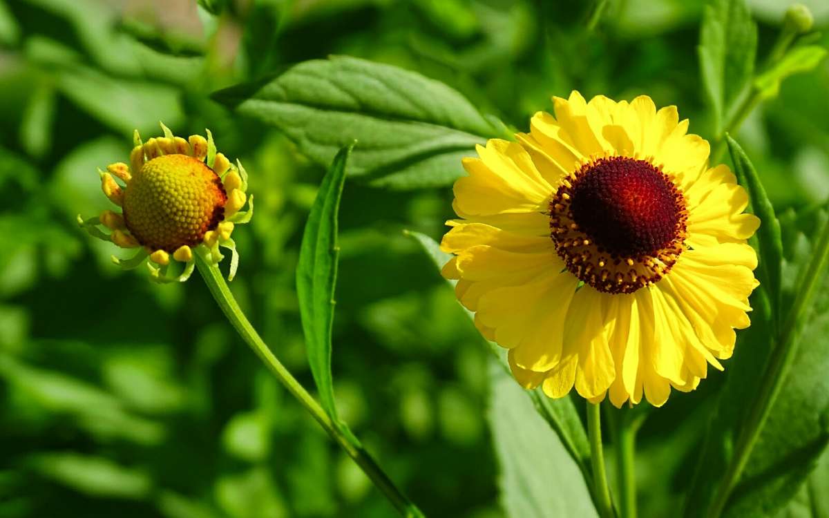 �������� �������. ����� �������� �������� �� PhotoGeek.ru #����� #�����