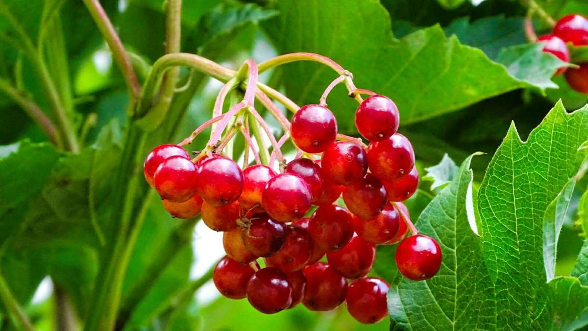 ������ ������� ���������. ����� �������� �������� �� PhotoGeek.ru #����� #�����