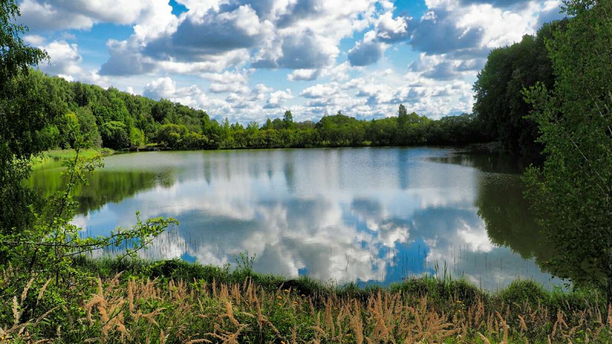 ��� ������. ����� �������� �������� �� PhotoGeek.ru #������ ��� �������