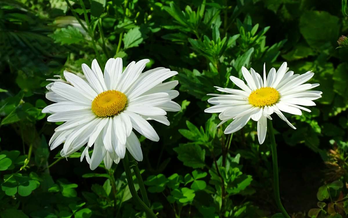 ������ ������� � ������. ����� �������� �������� �� PhotoGeek.ru #����� #�����