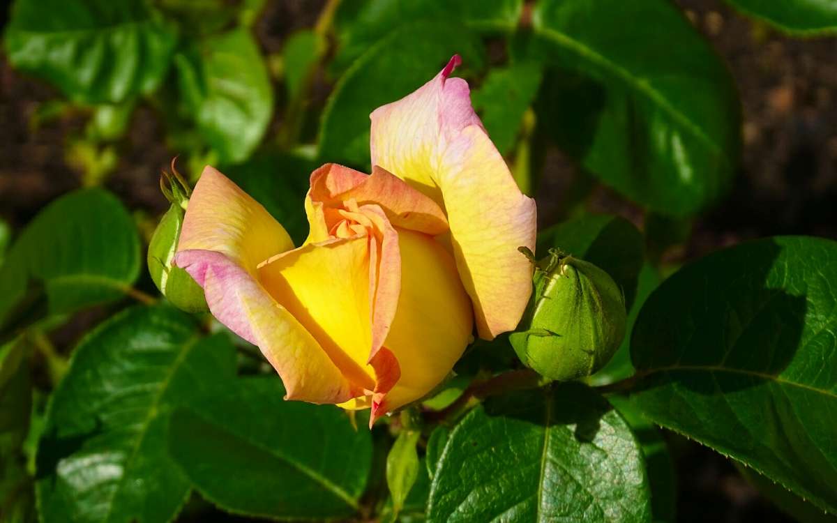 ���� � ������ ��� ������. ����� �������� �������� �� PhotoGeek.ru #����� #�����