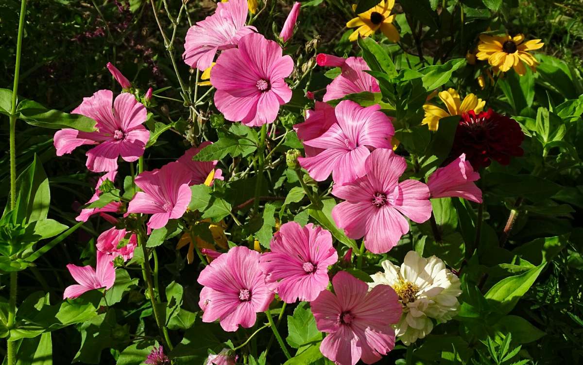 ����� �� ��������� �������. ����� �������� �������� �� PhotoGeek.ru #����� #����� #������ ��� �������